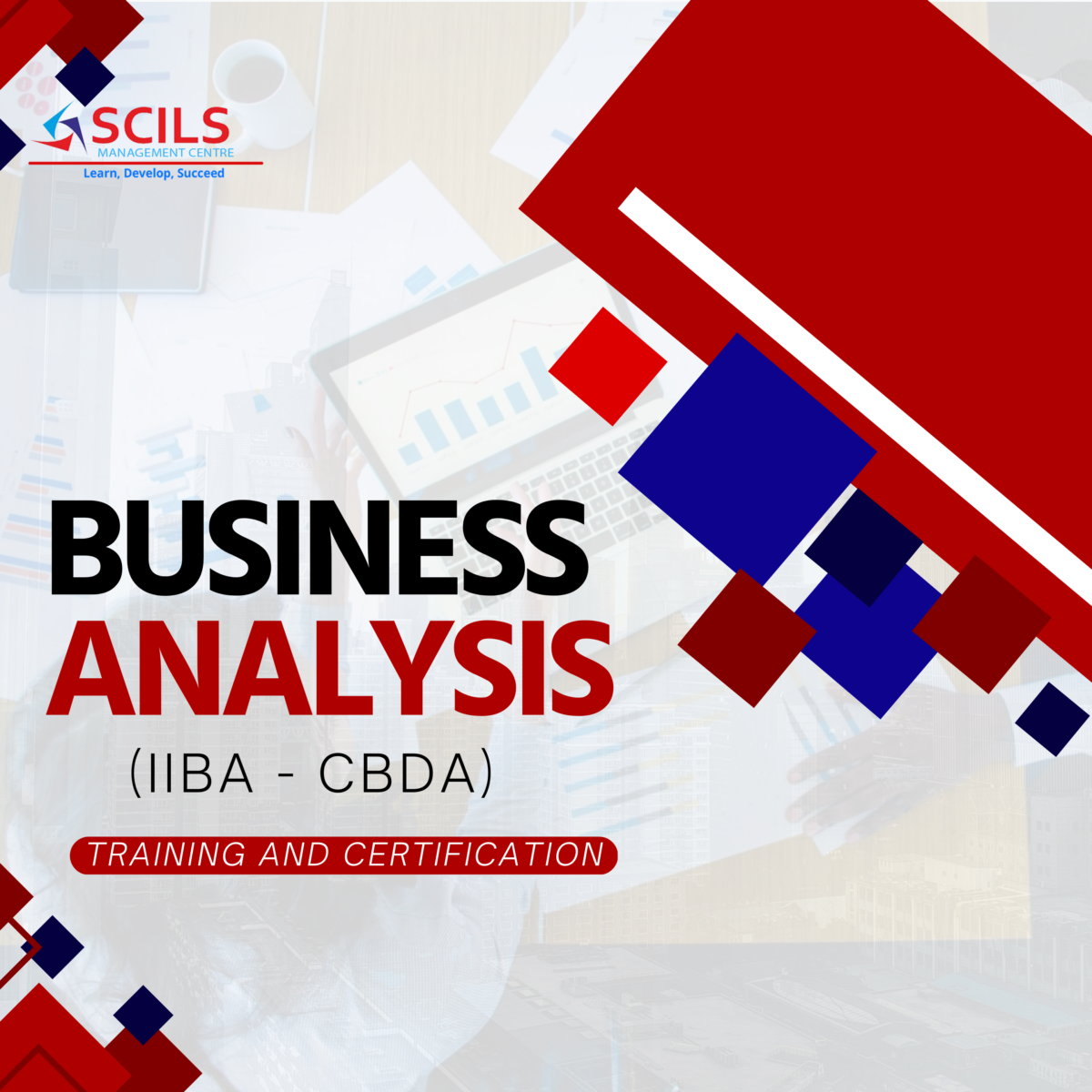 Business Analysis